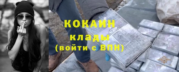 стаф Щигры
