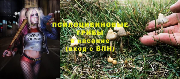 стафф Киренск