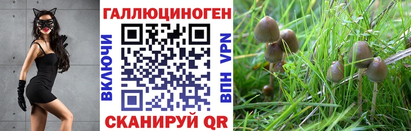 Псилоцибиновые грибы MAGIC MUSHROOMS  магазин  наркотиков  Златоуст 