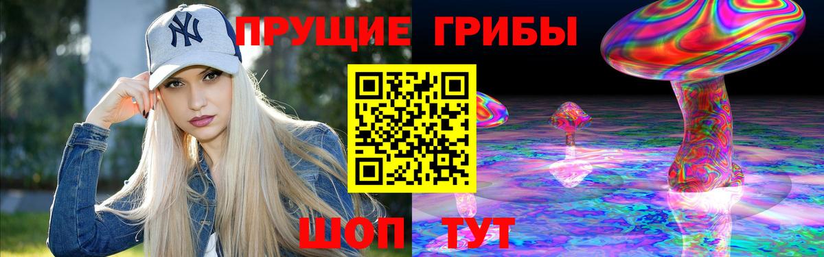 Златоуст  Псилоцибиновые грибы MAGIC MUSHROOMS  Вход с VPN 